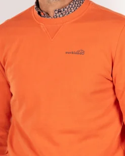 Orangefarbener Pullover mit Rundhalsausschnitt - Ginger Orange